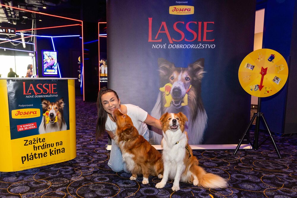 Legendárna Lassie sa vracia a podáva pomocnú labku psíkom, ktorí to potrebujú